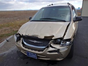 In addition to the unfortunate death of the animal, the damage to a vehicle can run into the hundreds or thousands of dollars, and passengers are often injured and sometimes killed. 